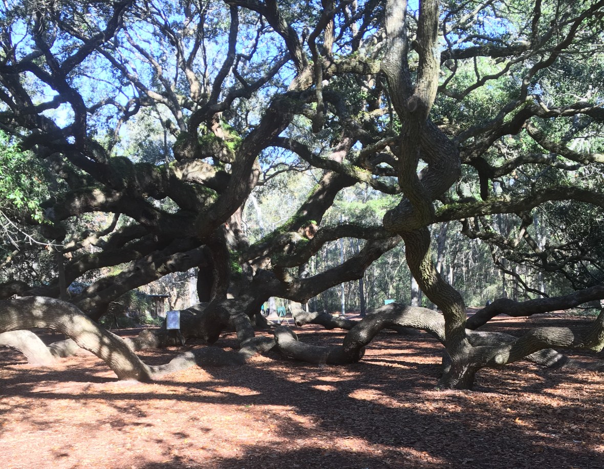 1131B0BC-FBEB-482C-B7D5-8B3CD901BFE4